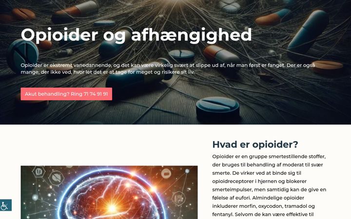 Screenshot of opioidbehandling.dk