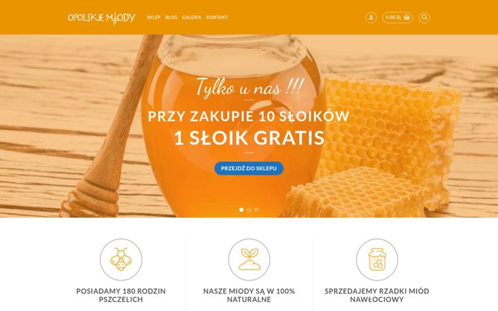 Snimka zaslona za opolskiemiody.pl