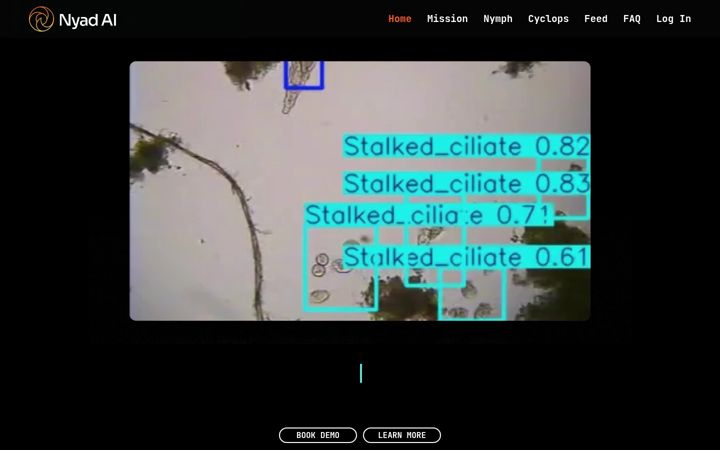 Zrzut ekranu opseyes.com