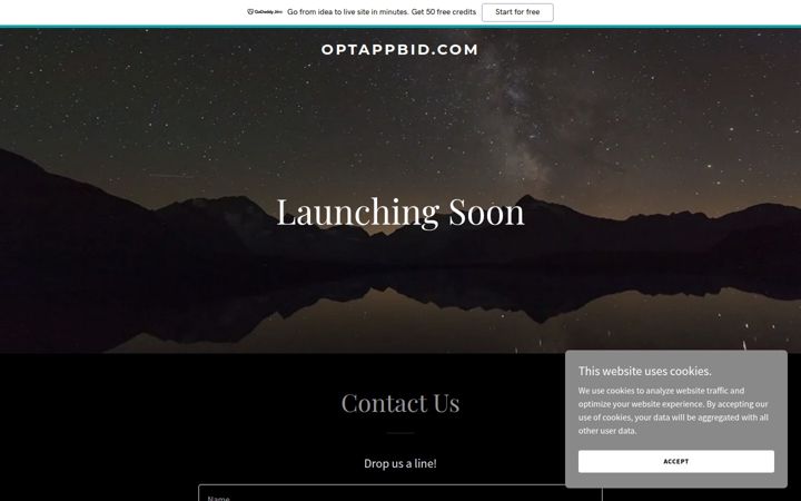 Ekraanipilt saidist optappbid.com