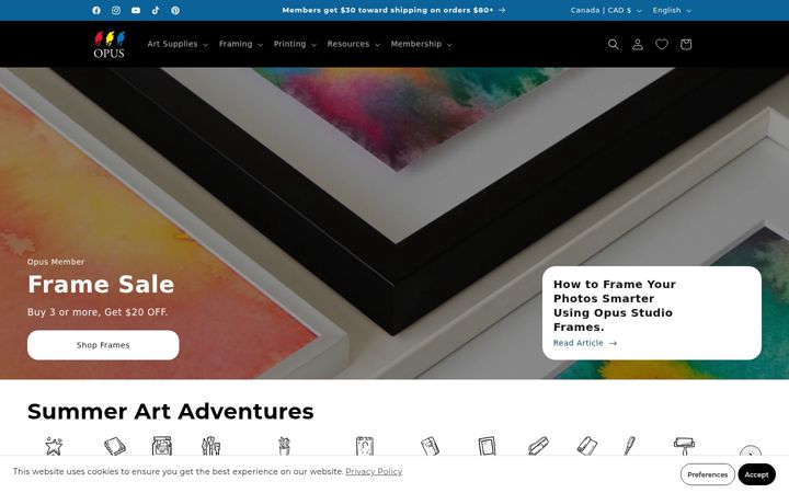 Screenshot of opusartsupplies.com