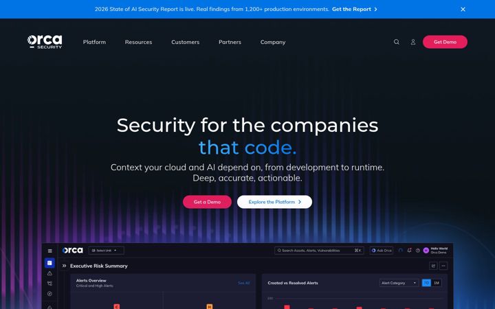 Screenshot of orcasecurity.io