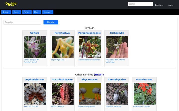 Screenshot of orchidroots.com