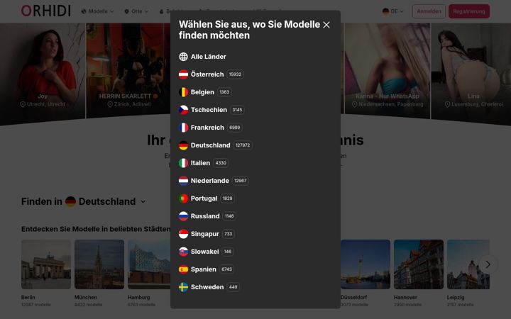 Screenshot of orhidi.com