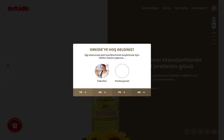 Screenshot ta' orkide.com.tr