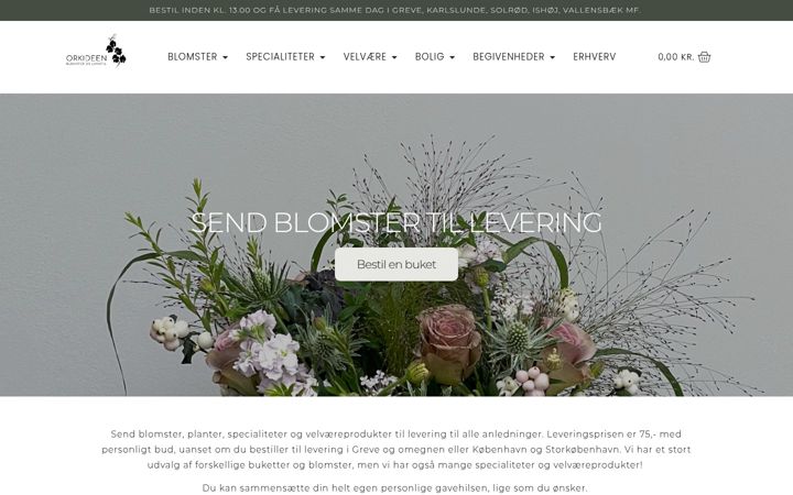 Screenshot von orkideenblomsterlivsstil.dk