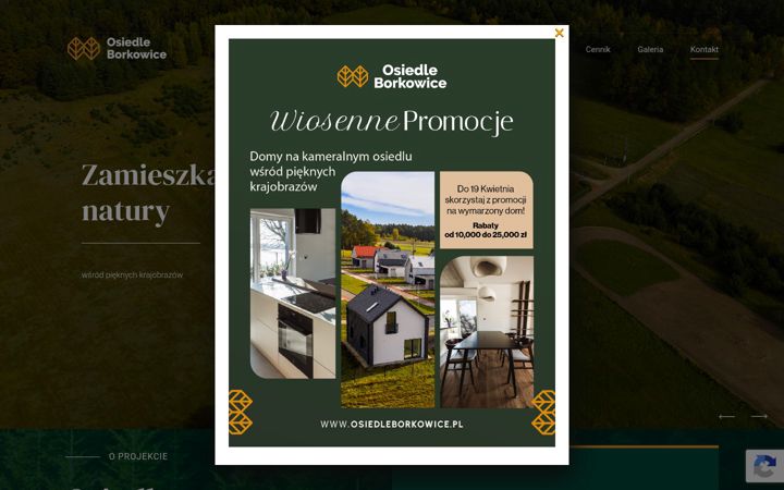 Skærmbillede af osiedleborkowice.pl