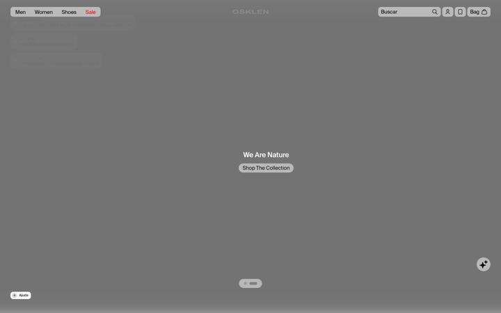 Screenshot of osklen.com.br