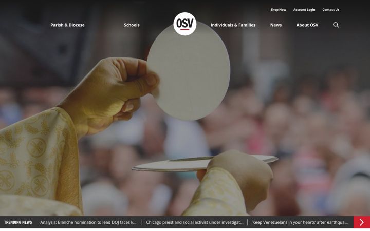 Snímek obrazovky osv.com
