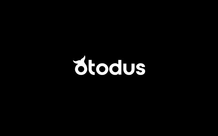 Screenshot of otodus.com