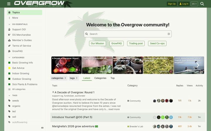 Screenshot of overgrow.com