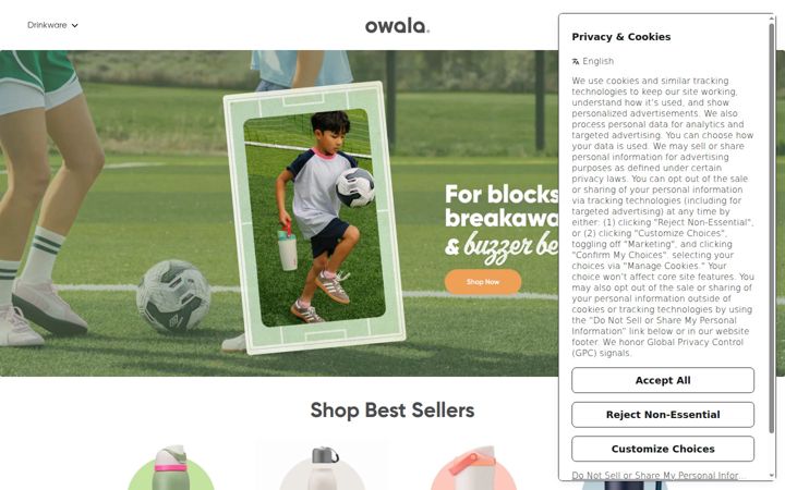 Screenshot of owalalife.com