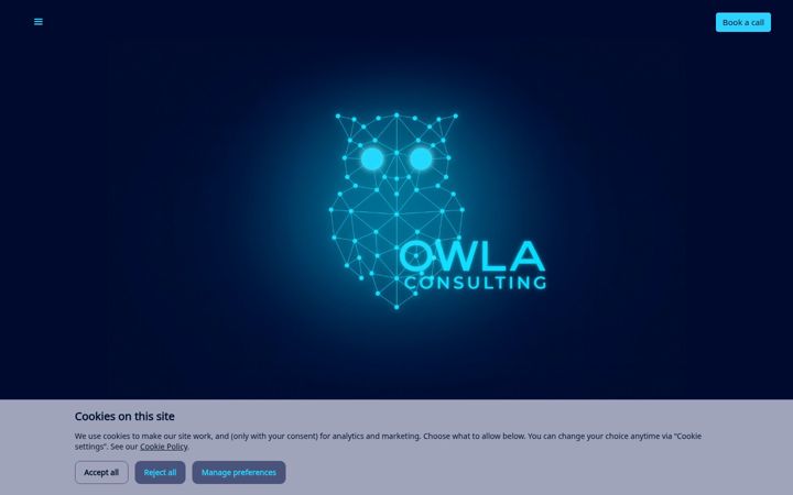 Zrzut ekranu owlaconsulting.com