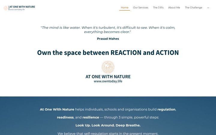 Screenshot of owntoday.life