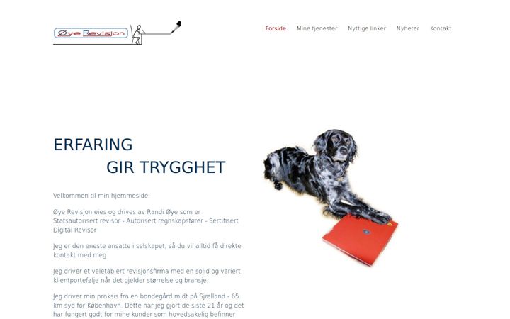 Screenshot van oyerevisjon.no