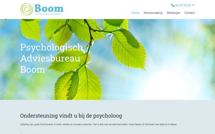 Screenshot of pa-boom.nl