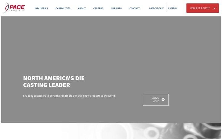 Screenshot von paceind.com