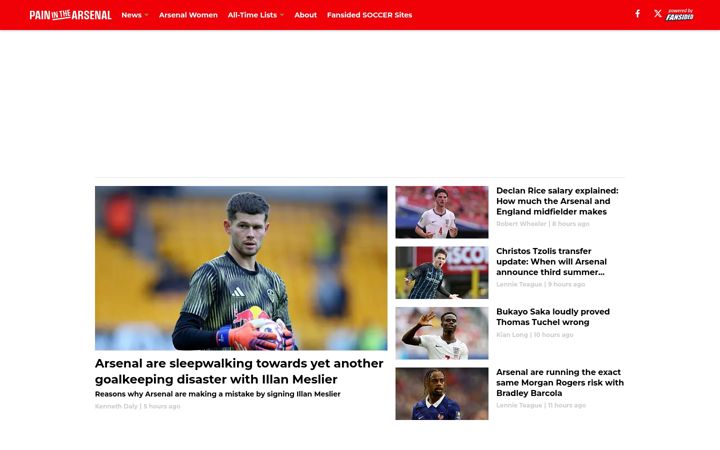 Screenshot of paininthearsenal.com