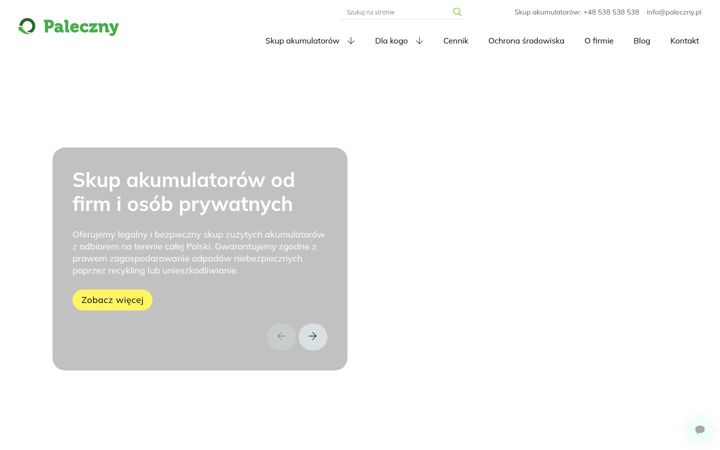 Screenshot of paleczny.pl