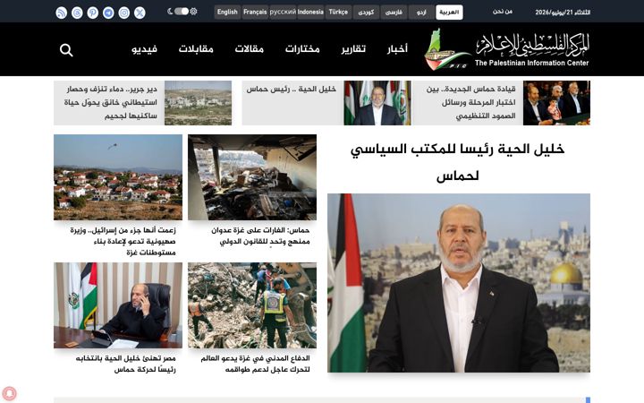 Screenshot of palinfo.com