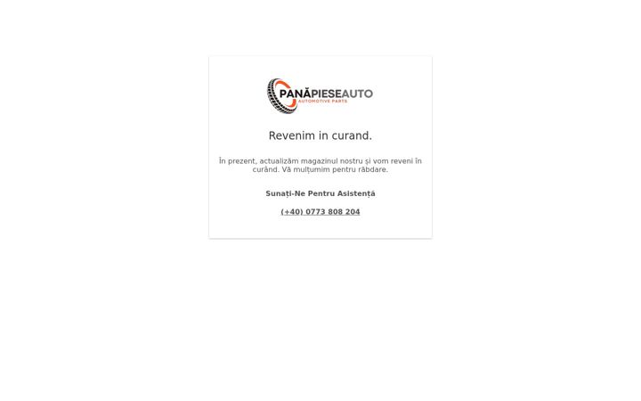 Posnetek zaslona panapieseauto.ro