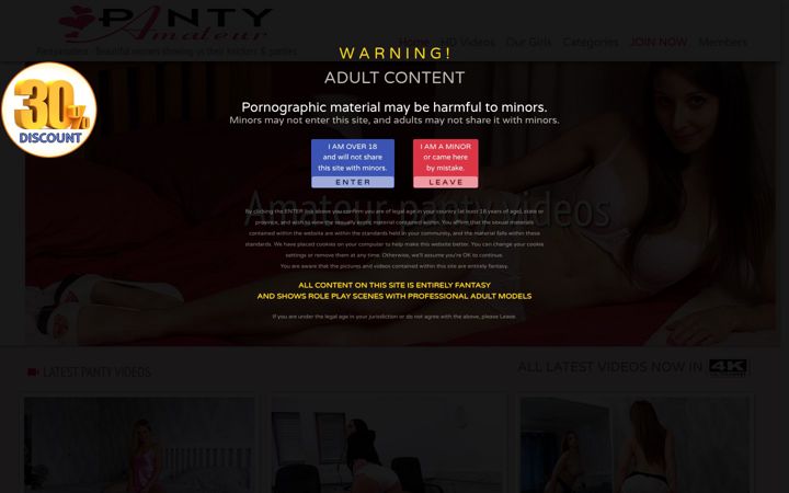 Screenshot of pantybucks.com