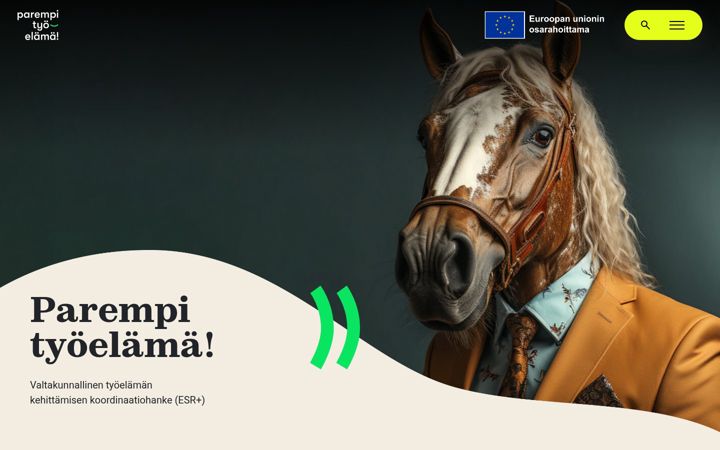 Screenshot di parempityoelamahanke.fi