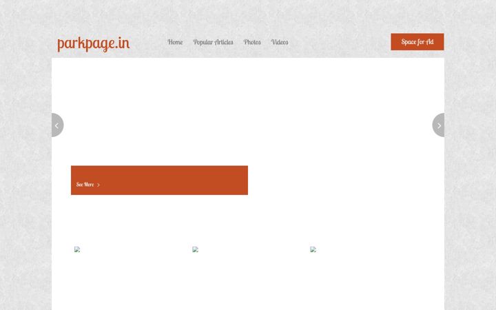 Screenshot von parkpage.in