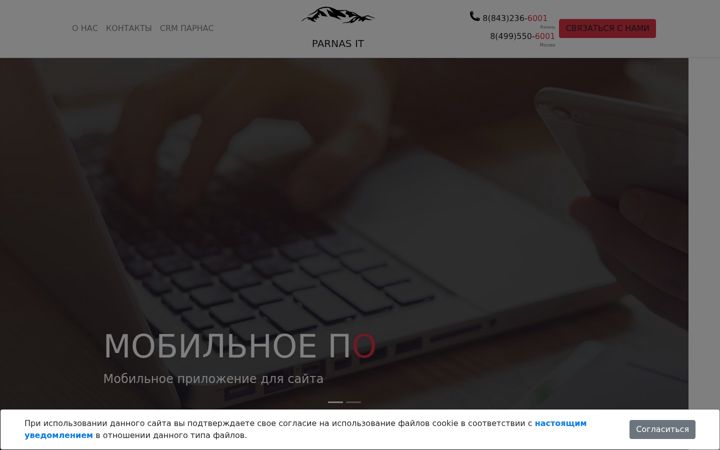 Screenshot of parnas-it.ru