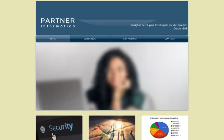 Screenshot of partnerinfo.com.br
