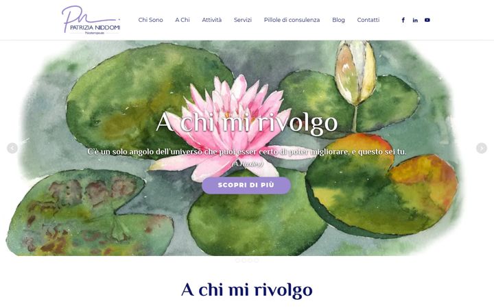 Screenshot of patrizianiddomi.com