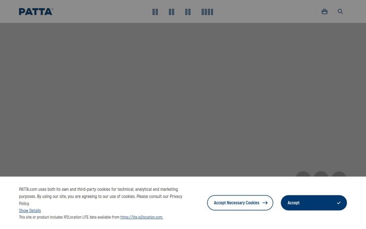 Screenshot of patta.com.cn