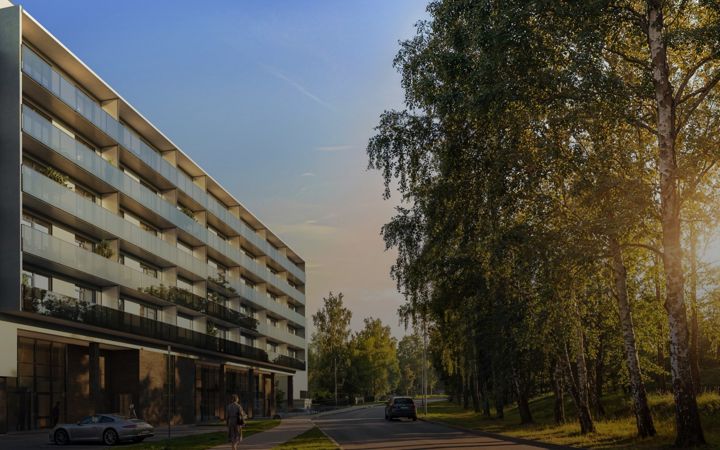Zrzut ekranu pauksciutakas.com