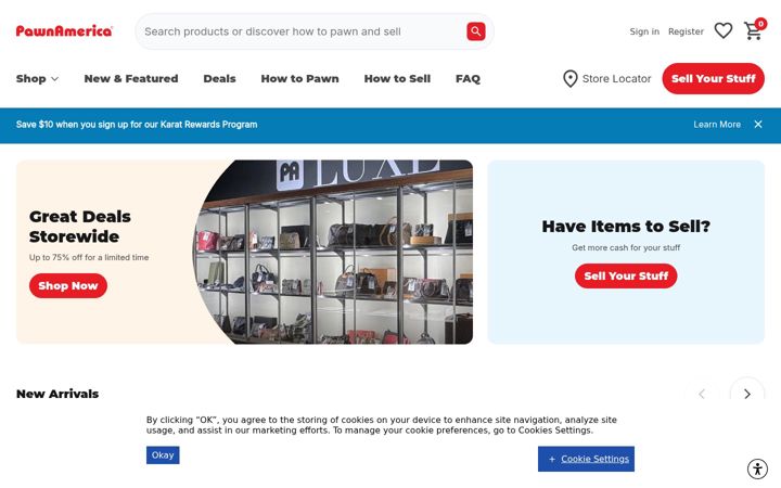 Screenshot of pawnamerica.com