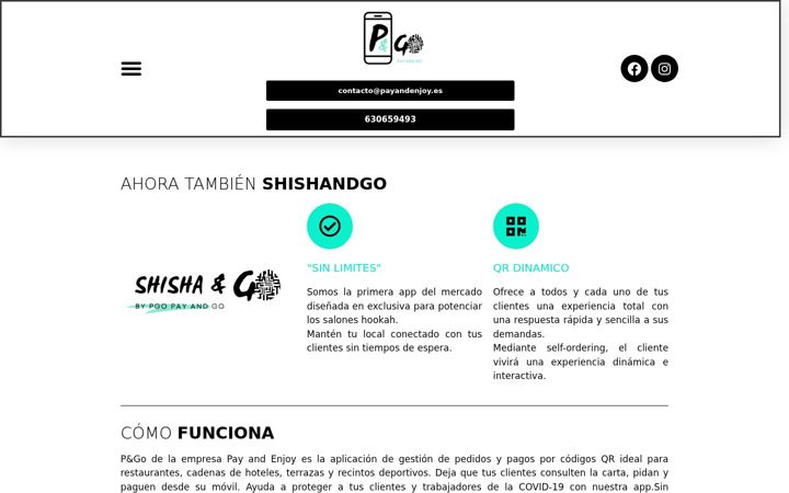 payandenjoy.es