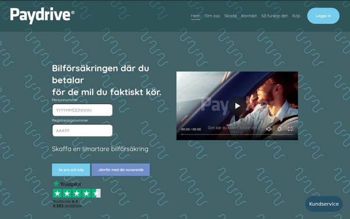 Zrzut ekranu paydrive.se