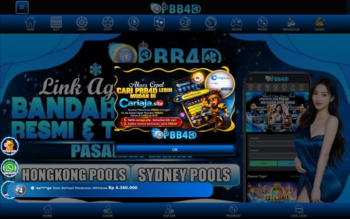 Screenshot of pbb4doc.com