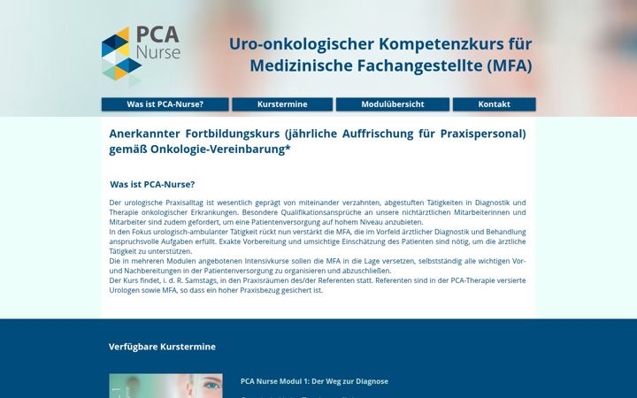 Screenshot of pca-nurse.com