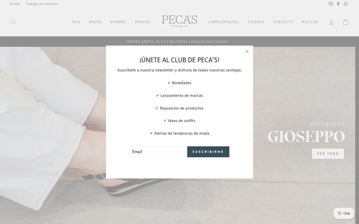 Captură de ecran a pecas.com
