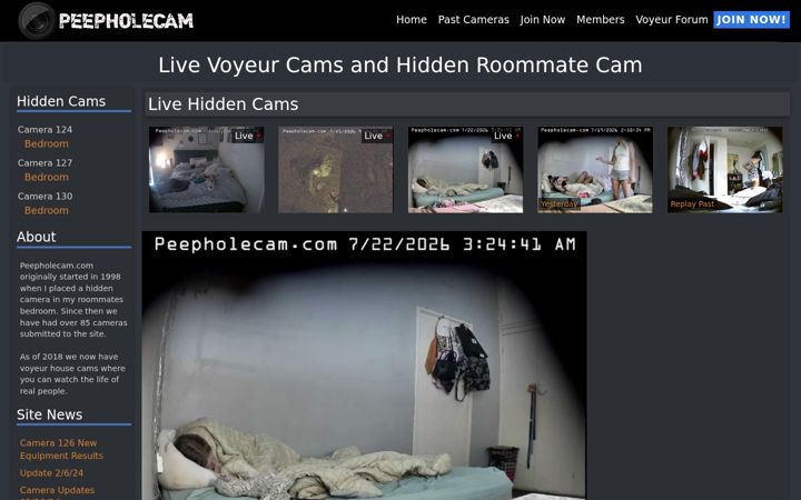 Screenshot of peepholecam.com