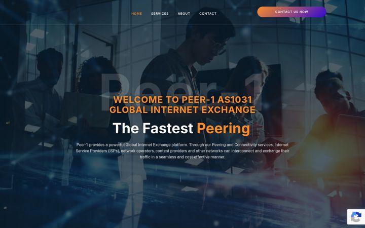 Screenshot of peer-1.com