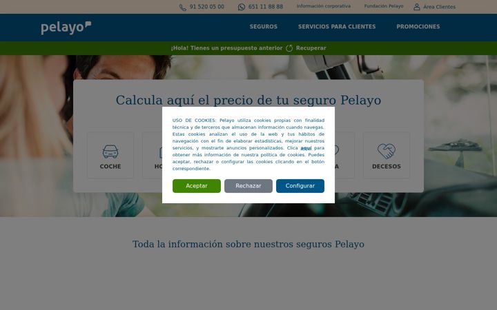Screenshot of pelayo.com