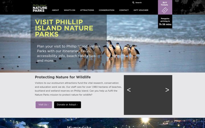 Captura de ecrã de penguins.org.au