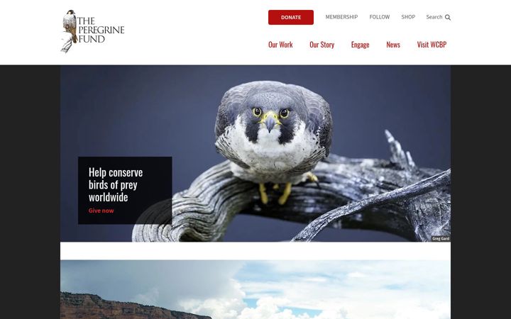 Screenshot ta' peregrinefund.org
