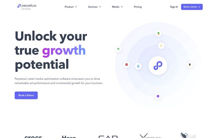 Screenshot of perpetua.io