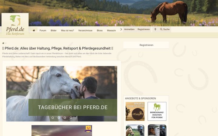 Screenshot of pferd.de