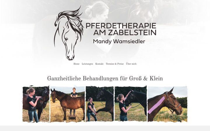 Képernyőkép: pferdetherapie-am-zabelstein.de