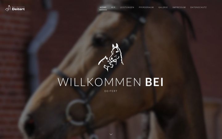 pferdezucht-deitert.com