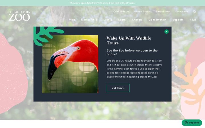 Screenshot of philadelphiazoo.org