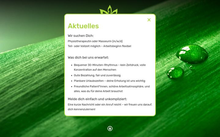 Screenshot of physiotherapie-schopfheim.com